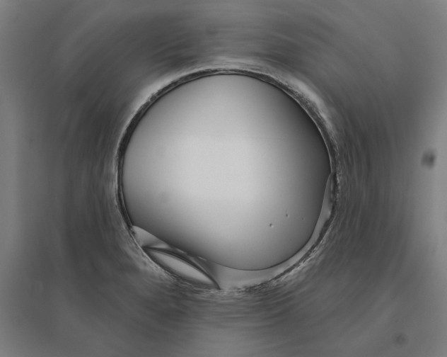 X0000095131280200712301816