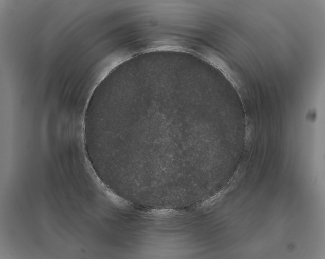 X0000095131282200712301816