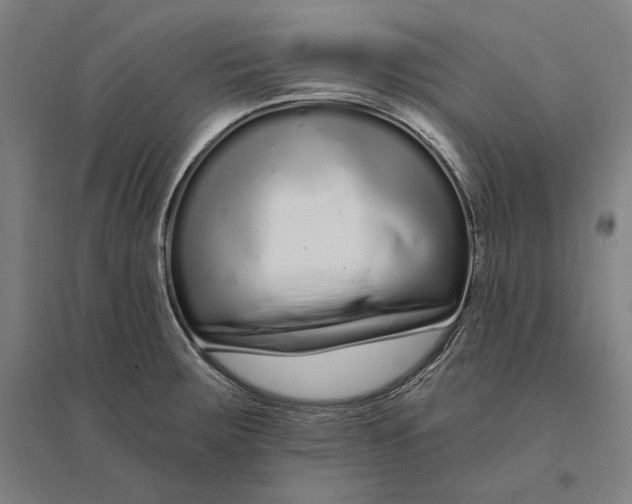 X0000095131283200712301816