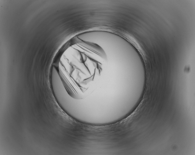 X0000095131284200712301816