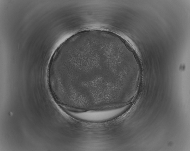 X0000095131285200712301816