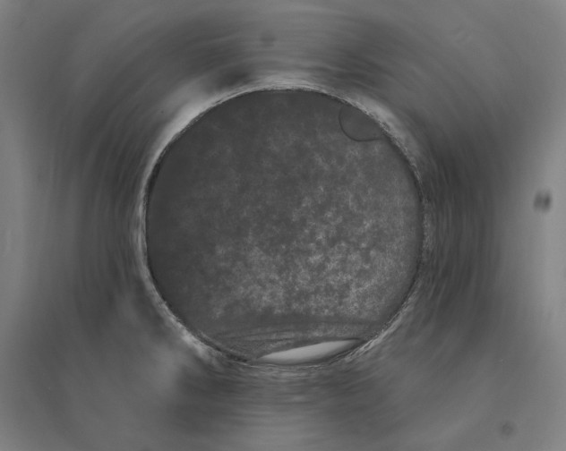 X0000095131286200712301816