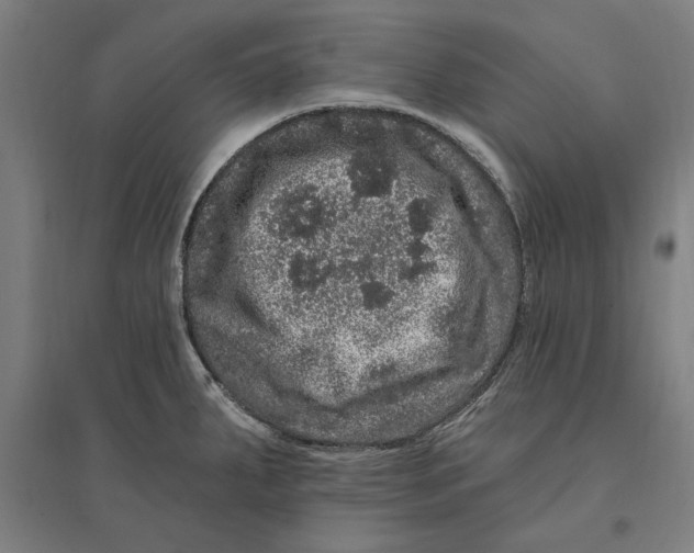 X0000095131287200712301816