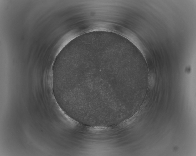 X0000095131290200712301816