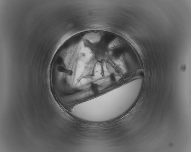 X0000095131291200712301816