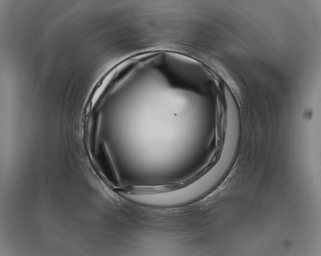 X0000095131292200712301815