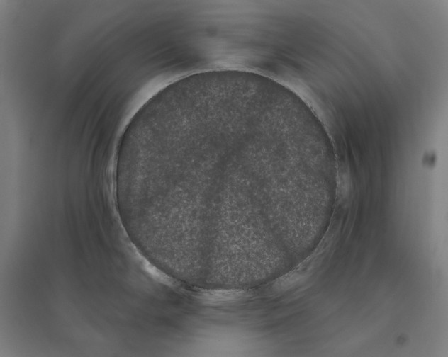 X0000095131294200712301815