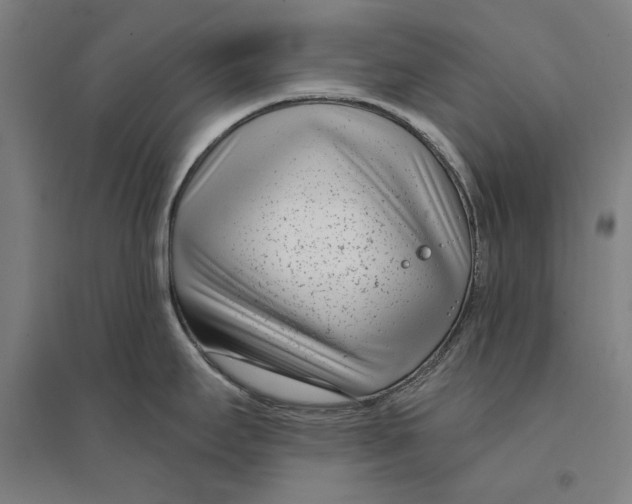 X0000095131295200712301815