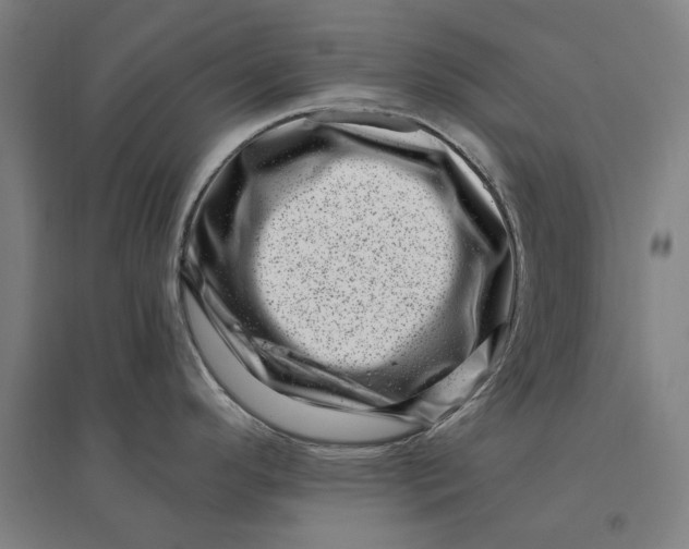 X0000095131296200712301815