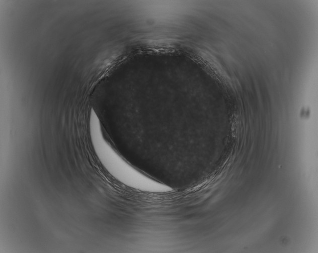 X0000095131298200712301815