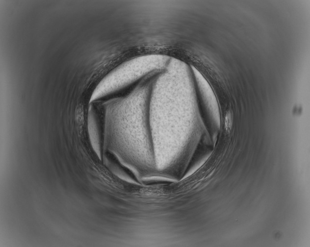 X0000095131299200712301815