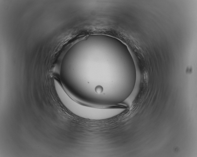 X0000095131300200712301815