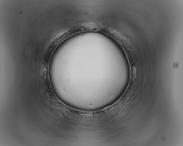 X0000095131302200712301815