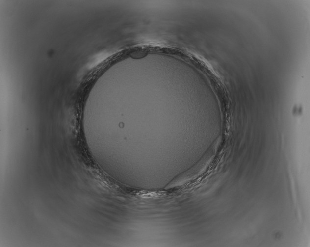 X0000095131303200712301815