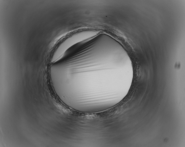 X0000095131304200712301815