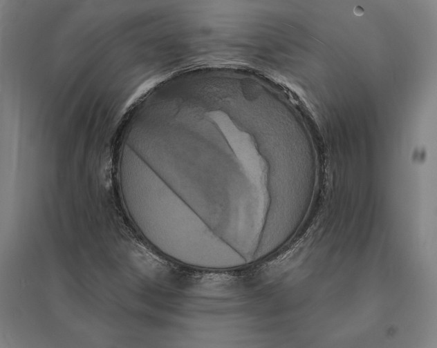 X0000095131306200712301815