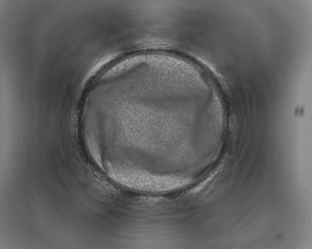 X0000095131309200712301815