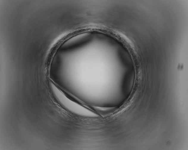 X0000095131310200712301815