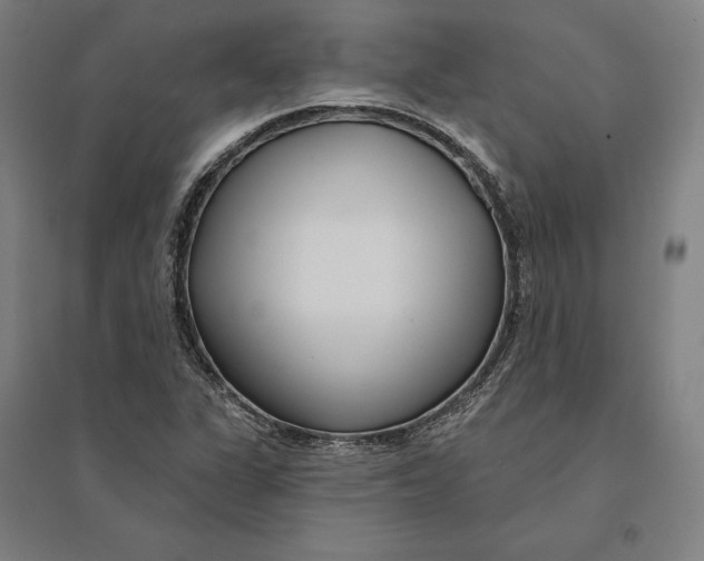 X0000095131311200712301815