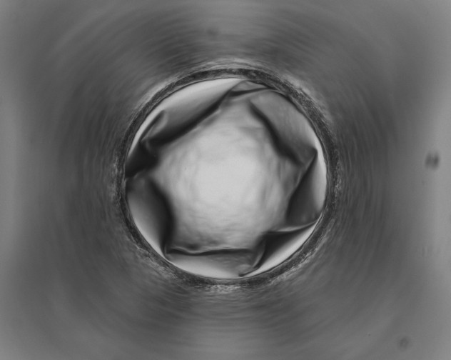 X0000095131313200712301815