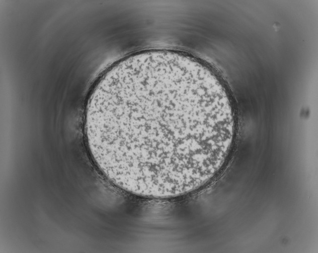 X0000095131314200712301815