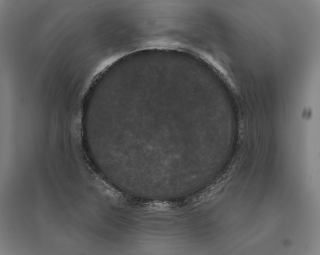 X0000095131315200712301815