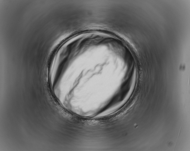 X0000095131317200712301815