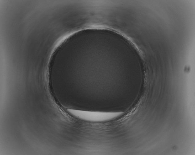 X0000095131319200712301815