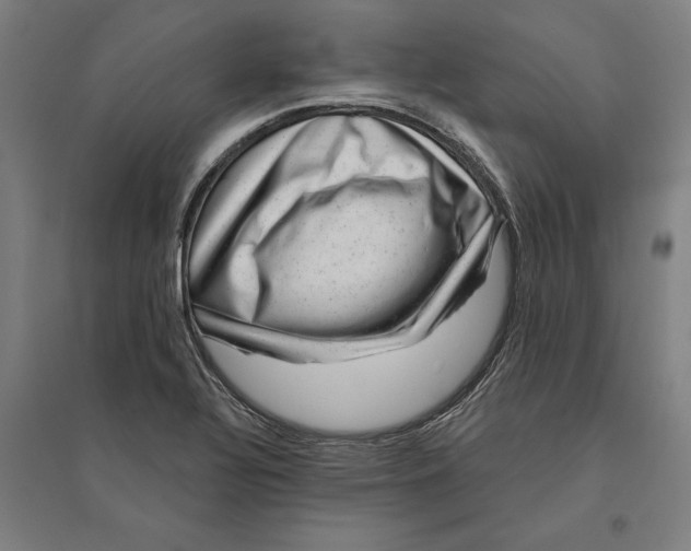 X0000095131320200712301815