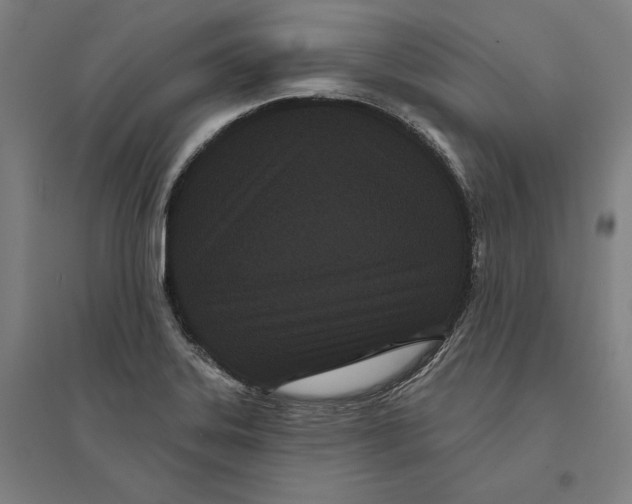 X0000095131323200712301815