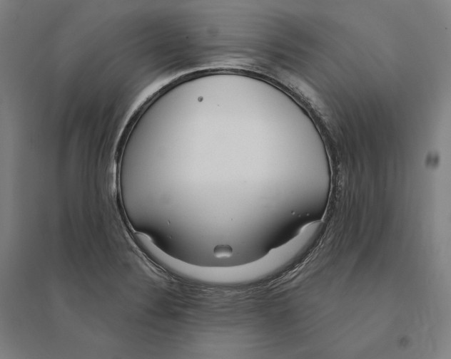 X0000095131324200712301815