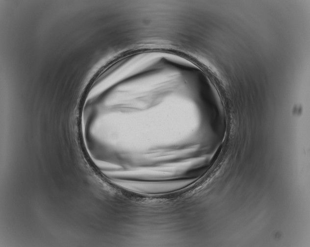 X0000095131325200712301815