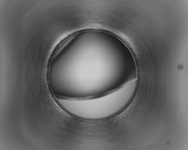 X0000095131326200712301815