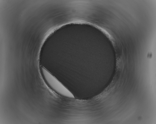 X0000095131327200712301815