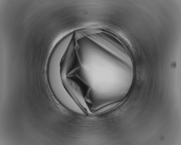 X0000095131328200712301815