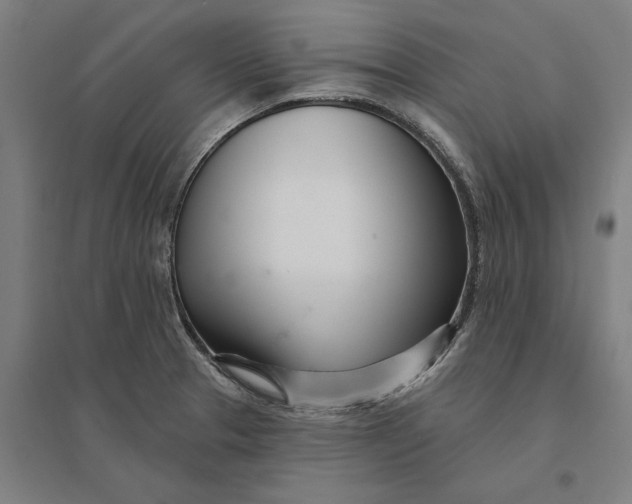 X0000095131329200712301815