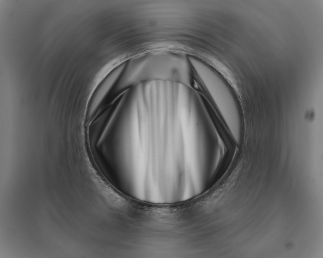 X0000095131330200712301815