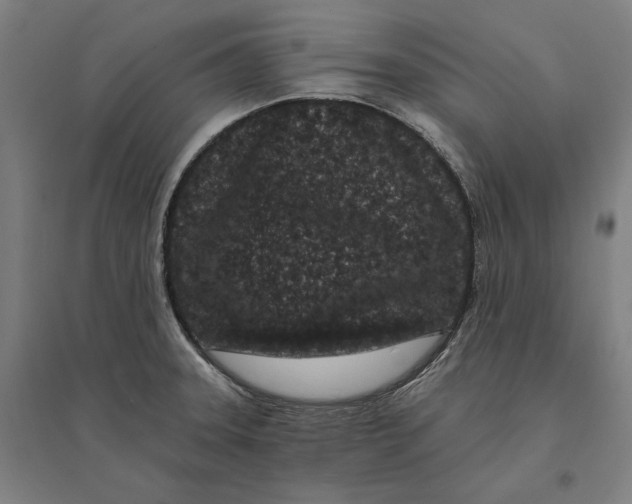 X0000095131331200712301815