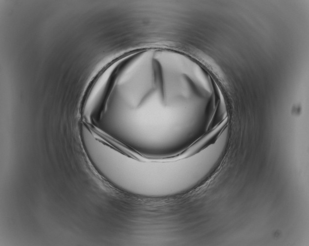 X0000095131332200712301815