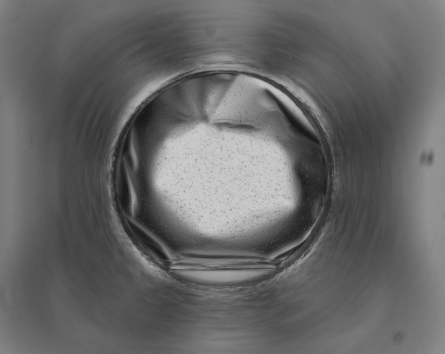 X0000095131333200712301815