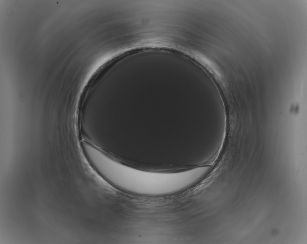 X0000095131334200712301815