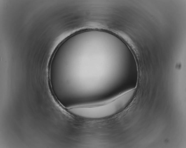 X0000095131335200712301815