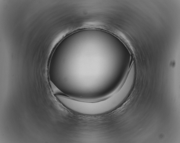 X0000095131336200712301815