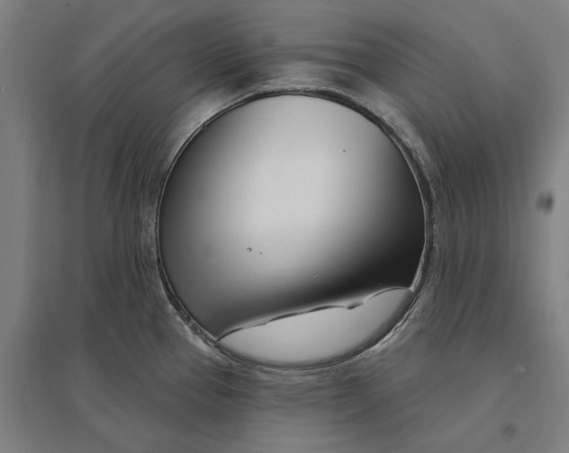 X0000095131337200712301815