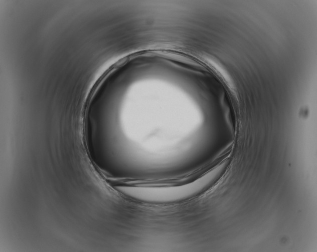 X0000095131340200712301815