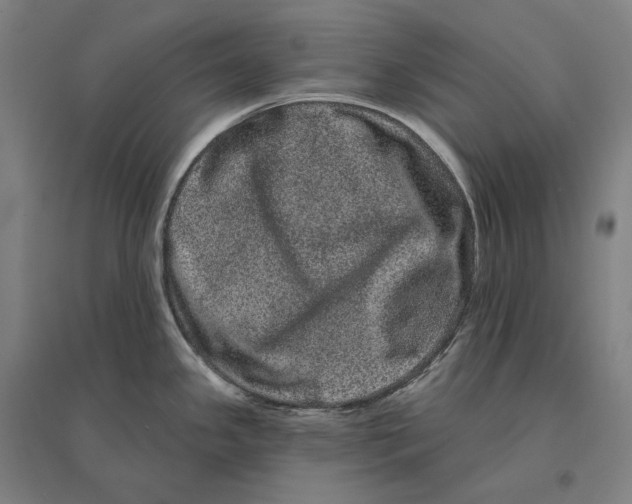 X0000095131341200712301815