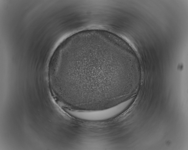 X0000095131342200712301815