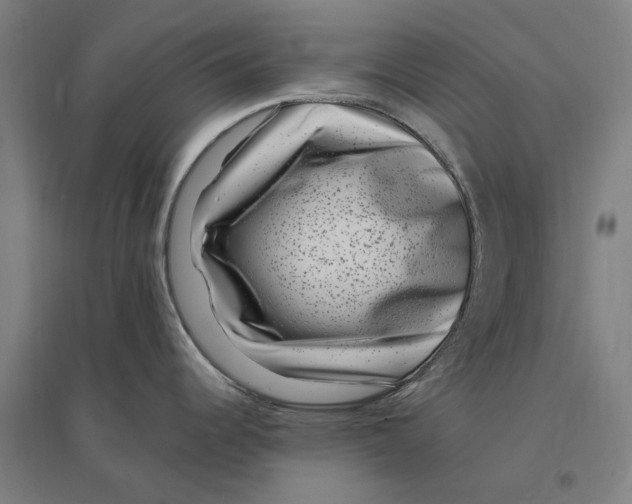 X0000095131344200712301815