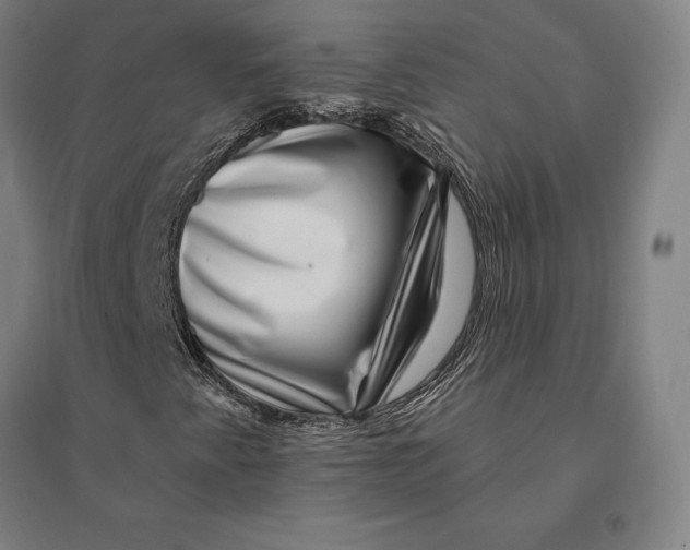 X0000095131345200712301815