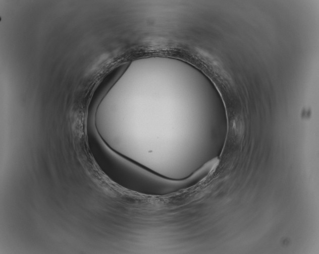 X0000095131348200712301815